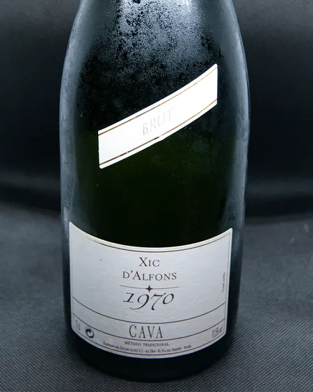Cava